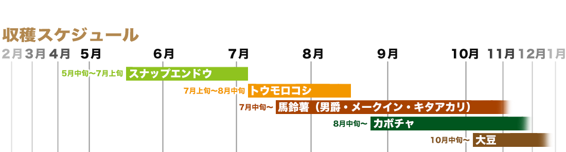 収穫スケジュール